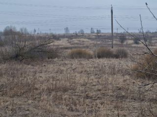 Продается участок земли есть электричество фото 23 Щёкино