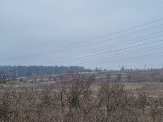 Продаю зем участок есть электричество фото 3 Щёкино