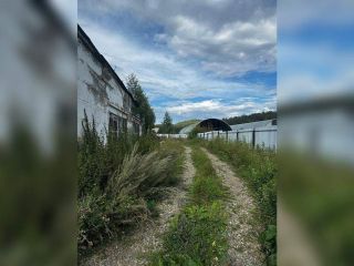 Продаю помещение свободного назначения фото 4 Миасс