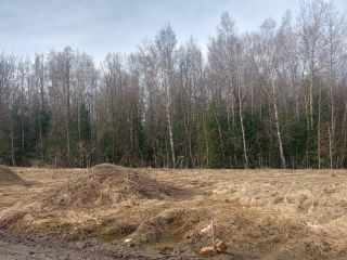 Продается зем участок торг уместен фото 2 Ногинск