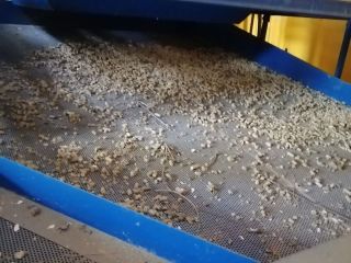 Продаю бизнес рядом асфальт фото 12 Ростов-на-Дону