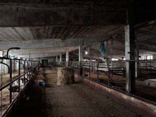 Сдаю производство подключена канализация фото 3 Наро-Фоминск