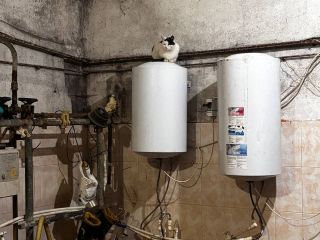 Сдаю производство подключена канализация фото 4 Наро-Фоминск