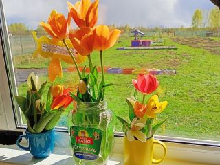 Продам дачу косметический ремонт с плодоносящим садом с коммуникациями фото 2 Деревня Пречистое