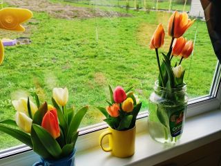 Продам дачу косметический ремонт с плодоносящим садом с коммуникациями фото 3 Деревня Пречистое