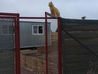 Продам дачу косметический ремонт с плодоносящим садом с коммуникациями фото 10 Деревня Пречистое