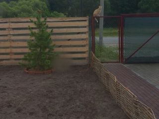 Продам дачу косметический ремонт с плодоносящим садом с коммуникациями фото 11 Деревня Пречистое