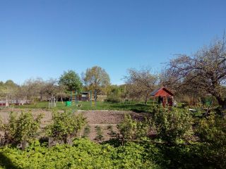 Продам деревянный дом фото 4 Старица