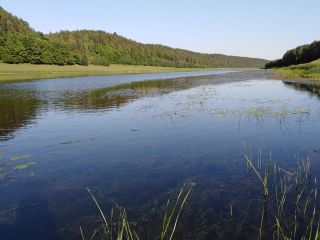 Продам деревянный дом фото 9 Старица