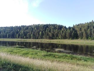 Продам деревянный дом фото 11 Старица