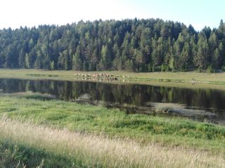 Продам деревянный дом фото 12 Старица