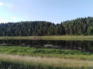 Продам деревянный дом фото 15 Старица