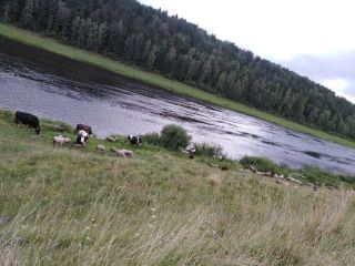 Продам деревянный дом фото 16 Старица