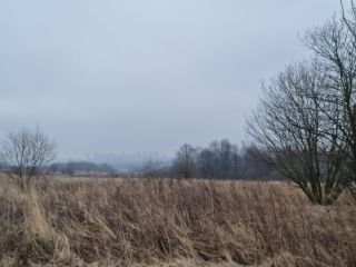 Продам земельный участок есть электричество фото Щёкино