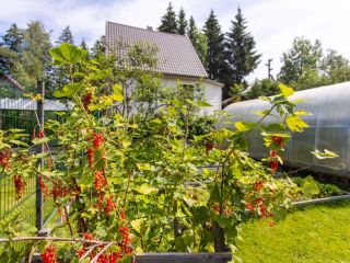 Продается деревянный дом имеется баня фото 6 Приозерск