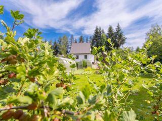 Продается деревянный дом имеется баня фото 23 Приозерск