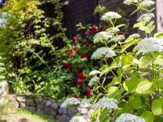 Продается деревянный дом имеется баня фото 37 Приозерск