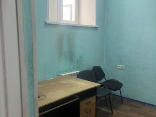 Сдам помещение под магазин фото 16 Прокопьевск