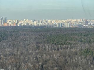 Продаю четырешку документы готовы фото 4 Москва