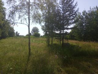 Продается участок земли есть баня с коммуникациями фото 9 Приозерск