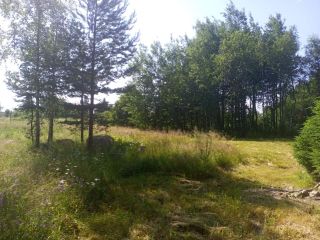 Продается участок земли есть баня с коммуникациями фото 10 Приозерск