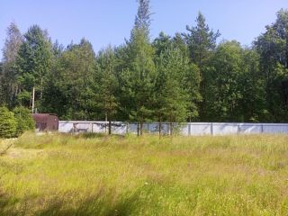 Продается участок земли есть баня с коммуникациями фото 24 Приозерск