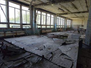 Продам помещение свободного назначения фото 6 Рубцовск