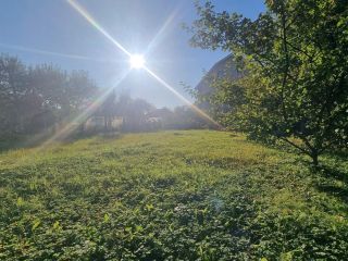 Продаю земельный участок асфальтная дорога фото Москва