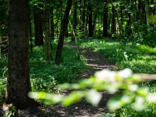 Продам кирпичный коттедж фото 27 Подольск