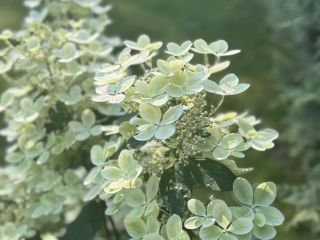 Продам деревянный дом имеется охрана видеонаблюдение фото 16 Конаково