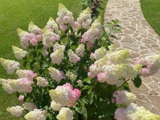 Продам деревянный дом имеется охрана видеонаблюдение фото 30 Конаково