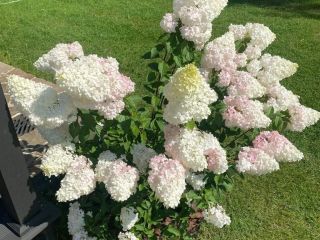 Продам деревянный дом имеется охрана видеонаблюдение фото 44 Конаково