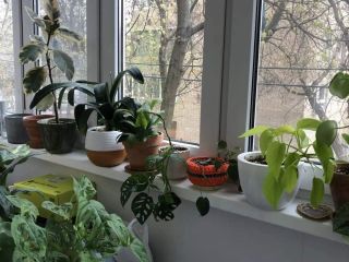 Продам однокомнатную квартиру возможен торг фото 6 Москва