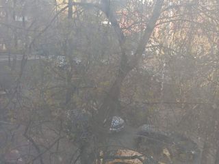 Продается 2 комн. квартира взрослый собственник фото 13 Москва