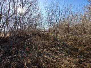 Продам участок земли рядом асфальт фото 3 Ижевск