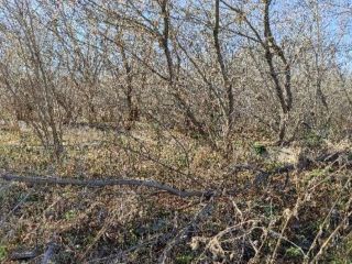 Продам участок земли рядом асфальт фото 8 Ижевск