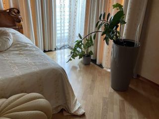 Продаю трешку видеонаблюдение с мебелью фото 3 Москва