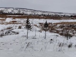 Продам зем участок фото 6 Красноярск