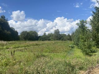 Продается земельный участок под личное подсобное хозяйство фото 2 Ступино