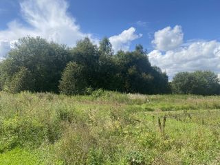 Продается земельный участок под личное подсобное хозяйство фото 3 Ступино