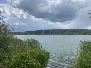 Продается земельный участок под личное подсобное хозяйство фото 11 Ступино