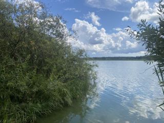 Продается земельный участок под личное подсобное хозяйство фото 12 Ступино