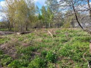 Продается деревянный дом с мебелью фото 4 Камешково