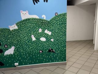 Сдам помещение под магазин видеонаблюдение фото 10 Самара