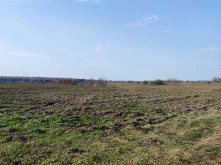 Продаю зем участок рядом асфальт фото 8 Сергиев Посад