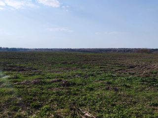 Продам участок земли рядом асфальт фото 4 Сергиев Посад