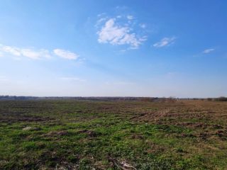 Продам участок земли рядом асфальт фото 6 Сергиев Посад