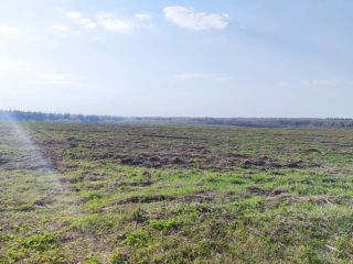 Продам участок земли рядом асфальт фото 8 Сергиев Посад