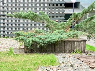 Продаю двушку фото 12 Москва