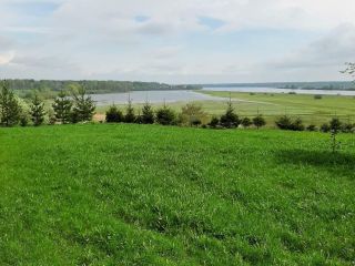 Продам земельный участок документы на руках фото Чудово